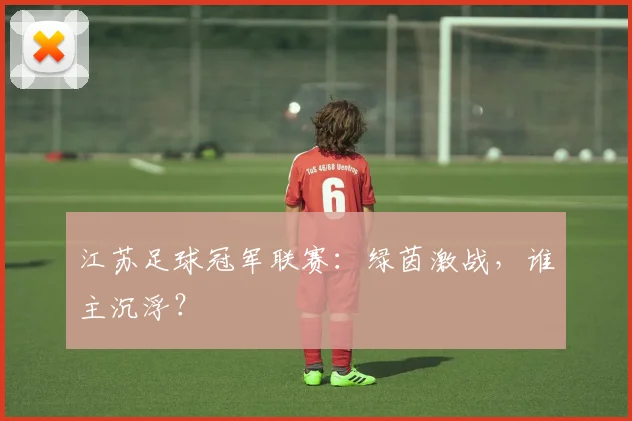 江苏足球冠军联赛：绿茵激战，谁主沉浮？